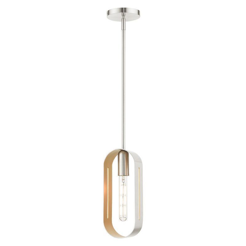 Brushed Nickel Glass Indoor/Outdoor Pendant Light