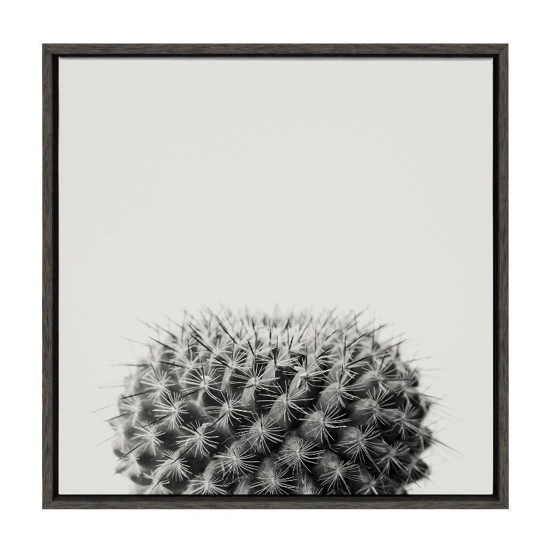 Gray Haze Succulent Cactus Canvas Wall Art, 22x22