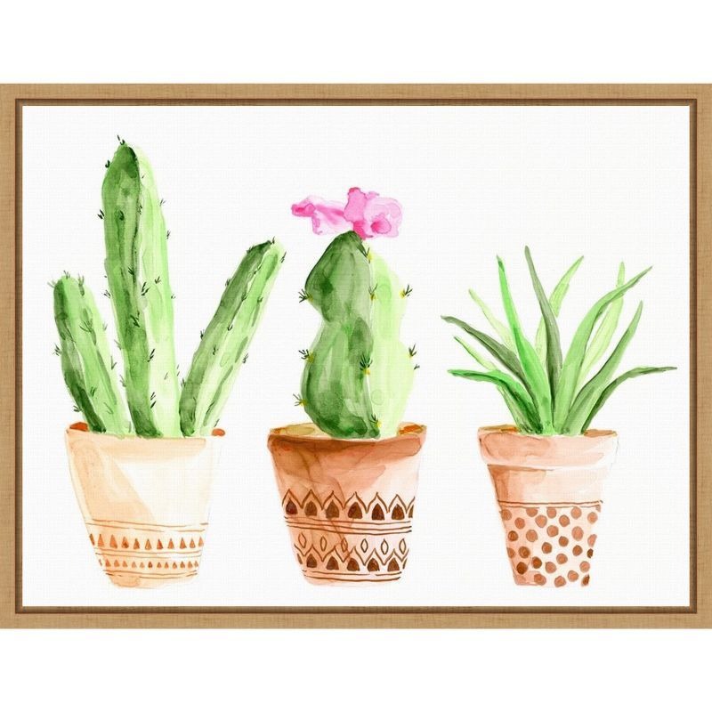 Patterned Succulent Pots Canvas Wall Art Print 24 x 18 Inches