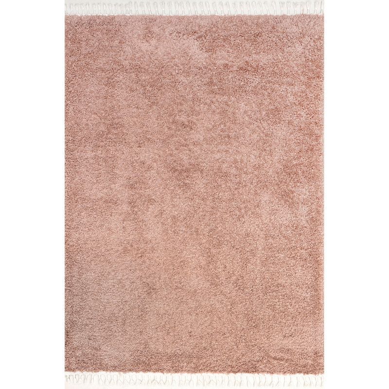 Plush Pink Braided Tassel Shag Rug 4' x 6' - Easy Care Synthetic