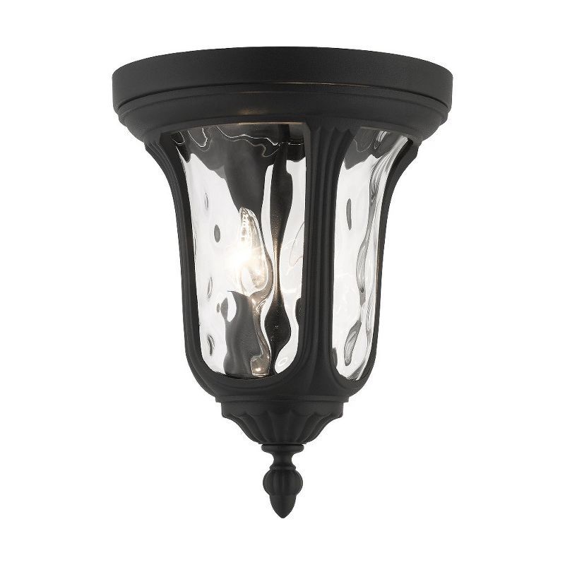 Elegant Oxford Hand-Blown Clear Water Glass 2-Light LED Flush Mount in Textured Black