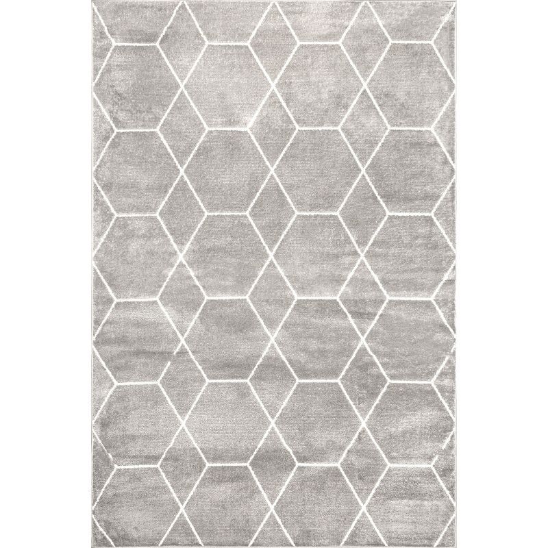 Calm Geometric Honeycomb Gray Synthetic Area Rug 5x8