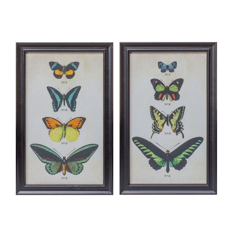 Set of 2 Encyclopedia Butterfly Prints with Black Metal Frames