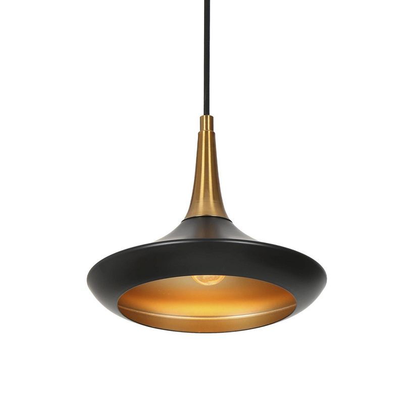 Matte Black and Brass Mini Pendant Light with Glass Shade