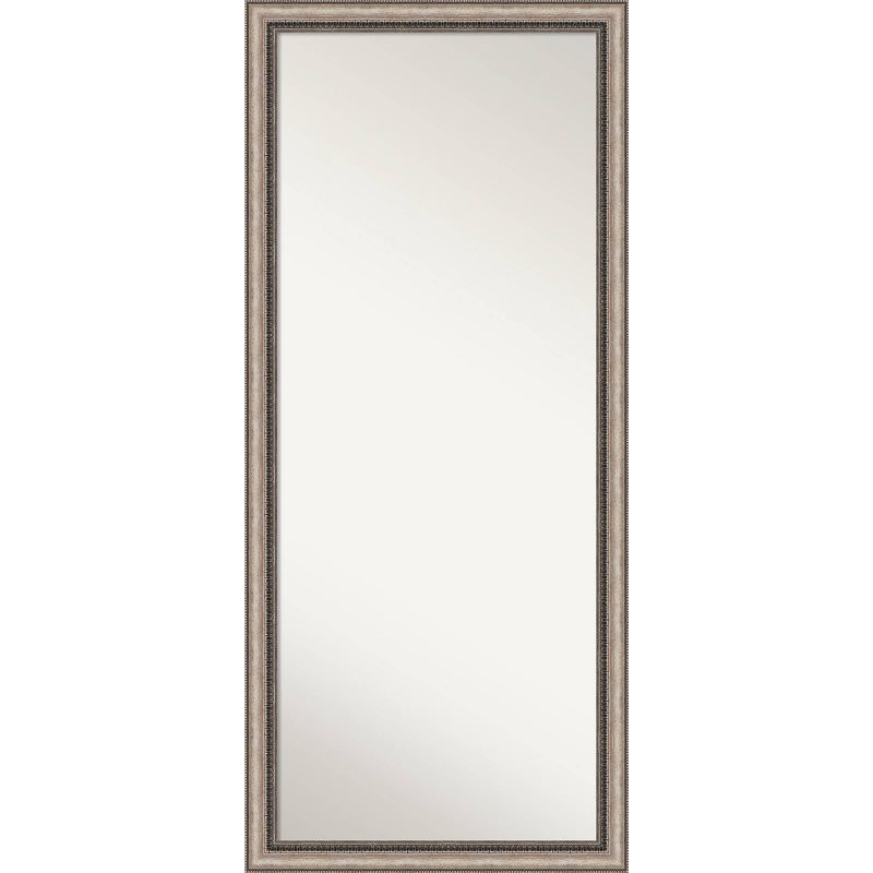 Elegant Full-Length Bronze and Silver Wood Framed Mirror