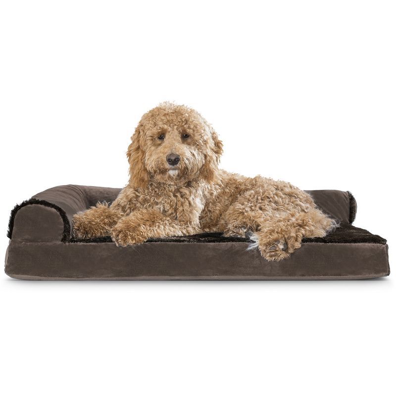 Large Sable Brown Orthopedic Foam Elevated Dog Bed