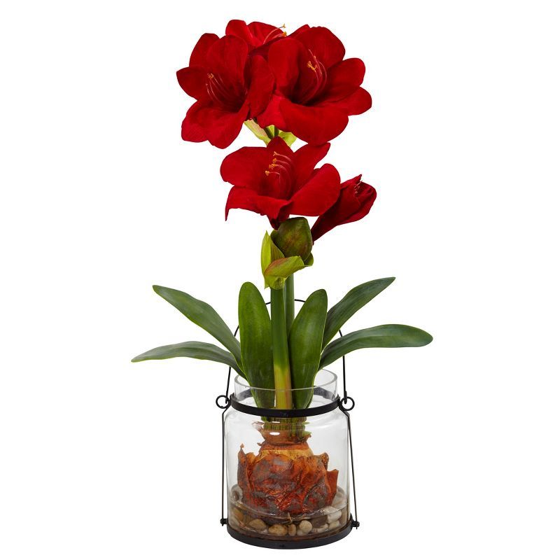 24-inch Red Amaryllis in Glass Vase with Green Leaves