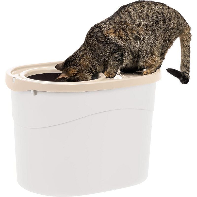 White and Beige Top Entry Cat Litter Box with Scoop