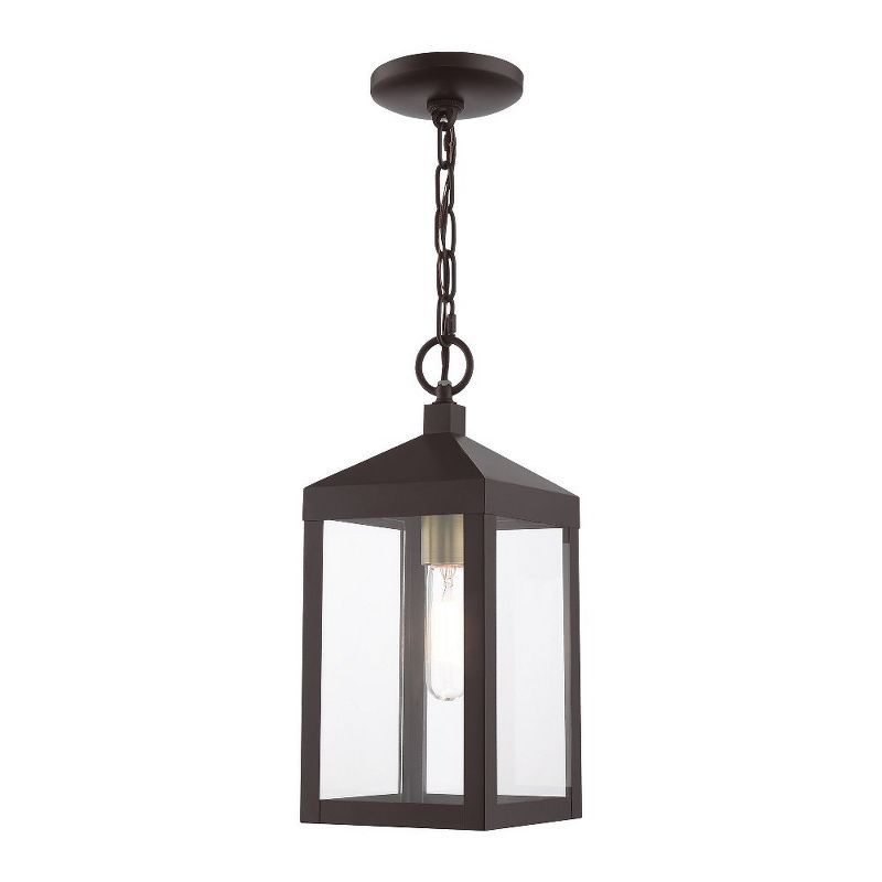 Nyack Bronze and Antique Brass 1-Light Outdoor Pendant with Clear Glass