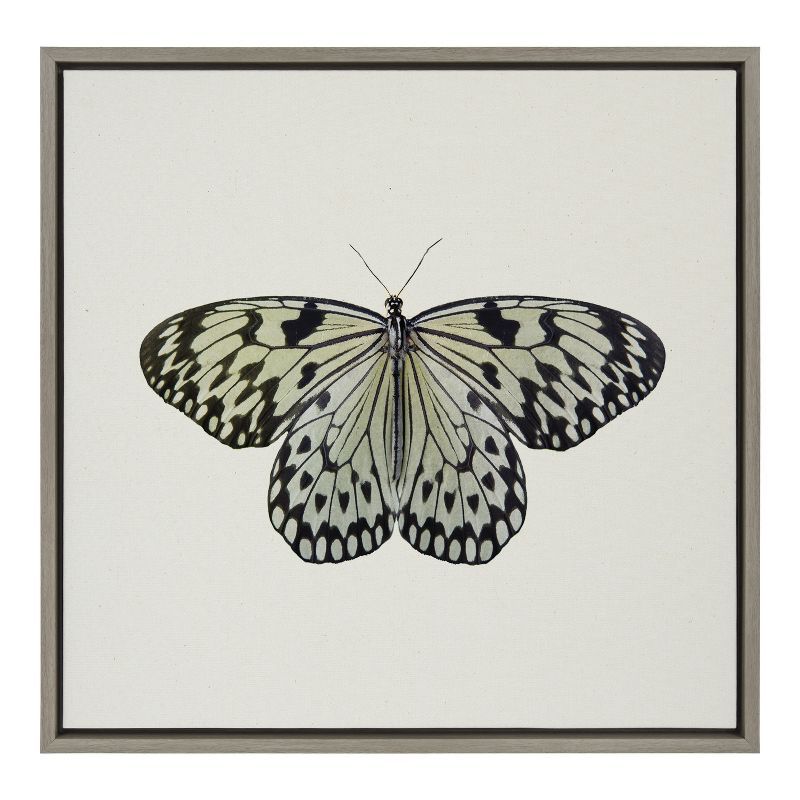 Gray Two Tone Butterfly Framed Canvas Wall Art, 22x22