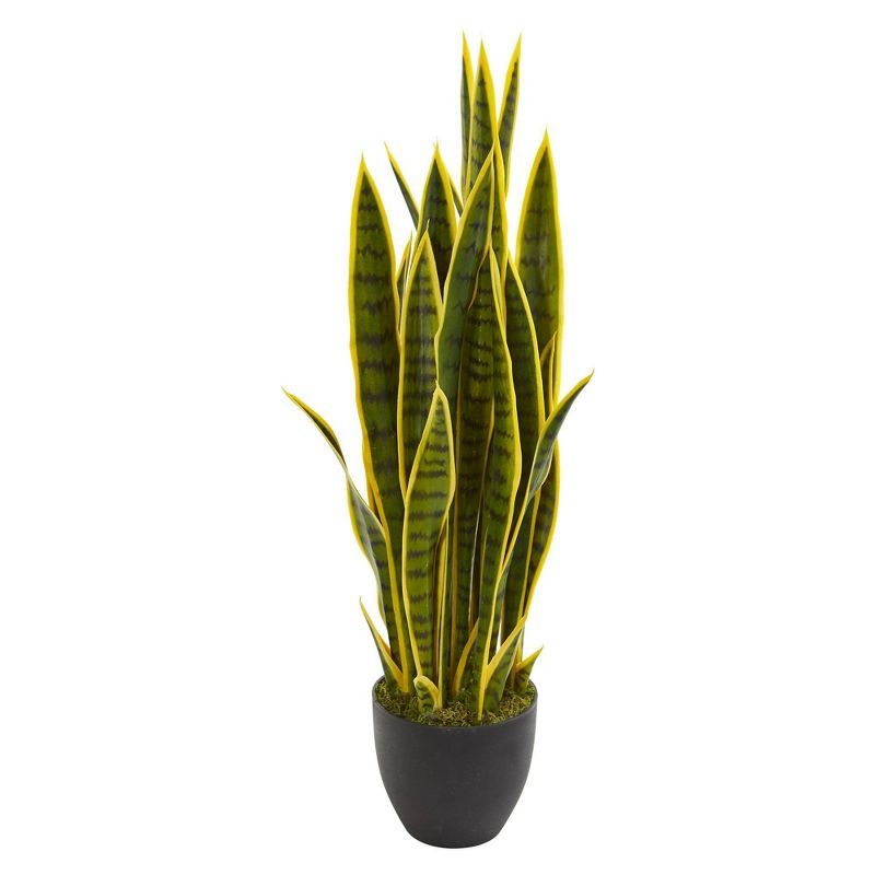 Tiny Green and Yellow Faux Sansevieria Plant in Black Pot