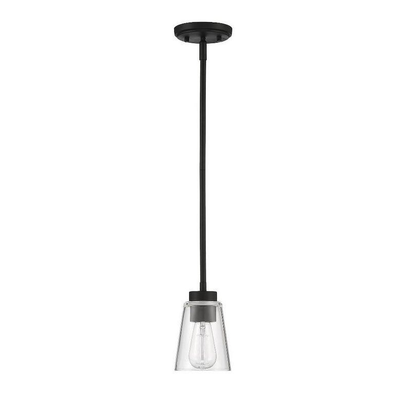 Calhoun Matte Black Glass Mini Pendant Light