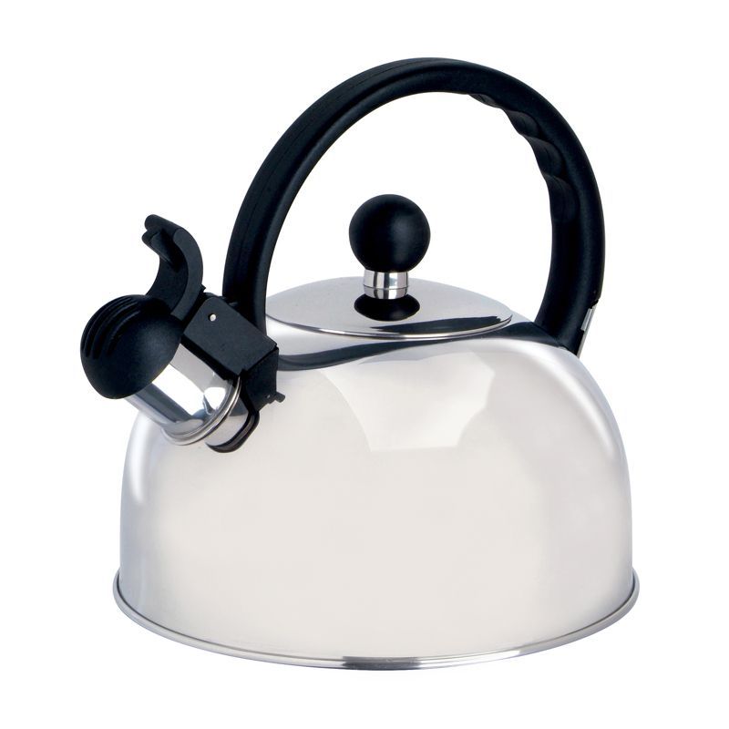 Springberry 2.25 Qt Stainless Steel Whistling Tea Kettle