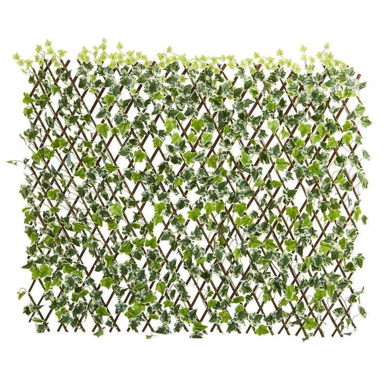 Expandable Green English Ivy UV Resistant Outdoor Fence