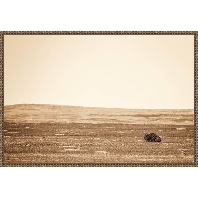 Sepia Bison Landscape Framed Canvas Wall Art 23 x 16