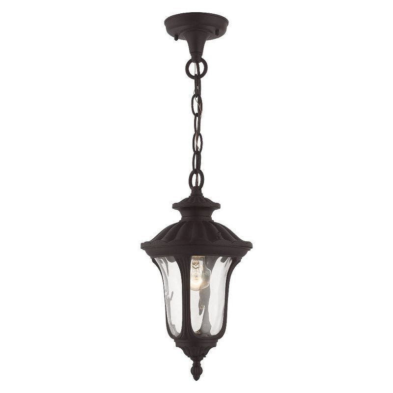 Oxford Bronze 1-Light Outdoor Pendant with Clear Glass