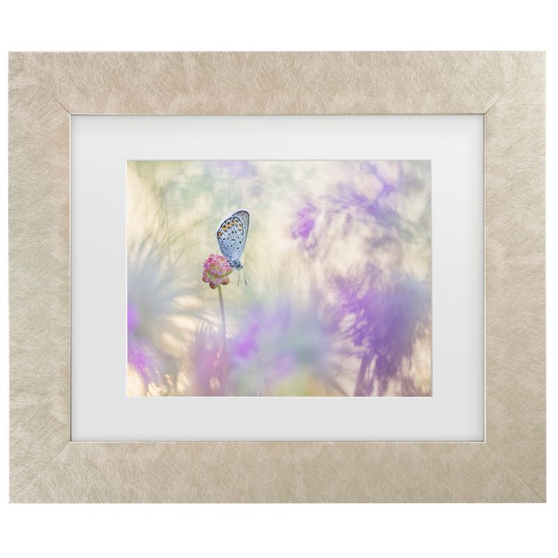 Henrik Spranz Butterfly on Pink Flower Framed Canvas Art