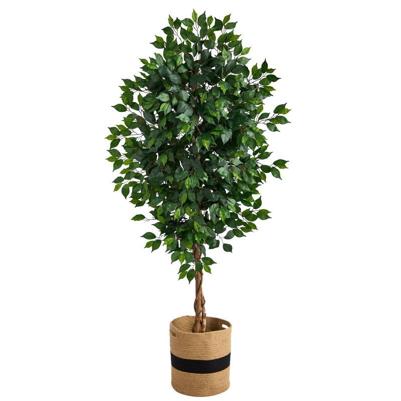 Elegant 6' Ficus Floor Plant in Natural Cotton Planter