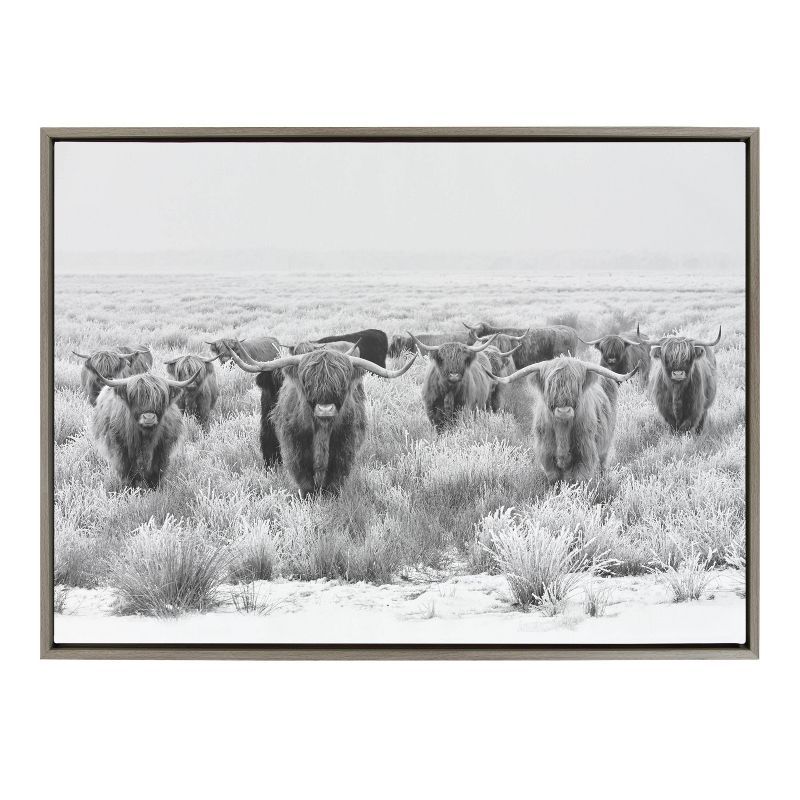 Large Black and White Highland Cow Canvas Print with Gray Frame