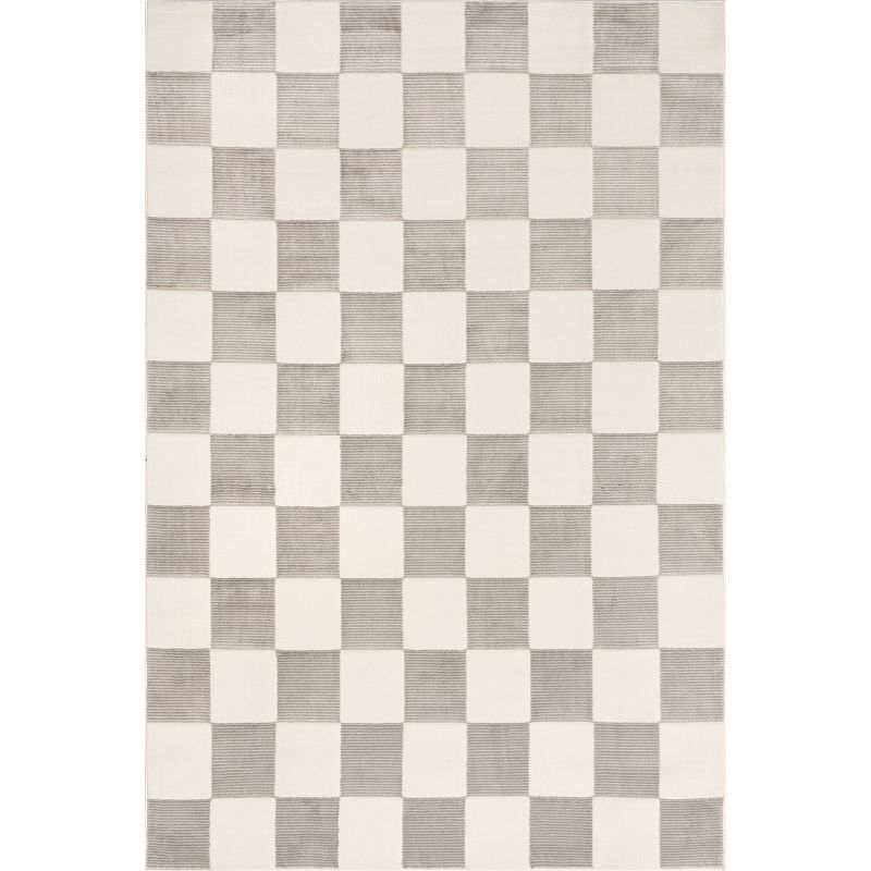 Zhuri Checkered Cream and Gray Machine Washable Area Rug 4' x 6'