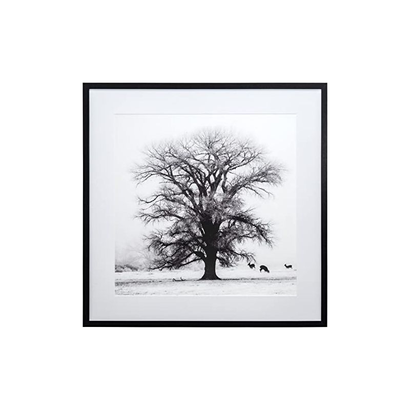 Winter's Morning Fog Black and White Framed Print