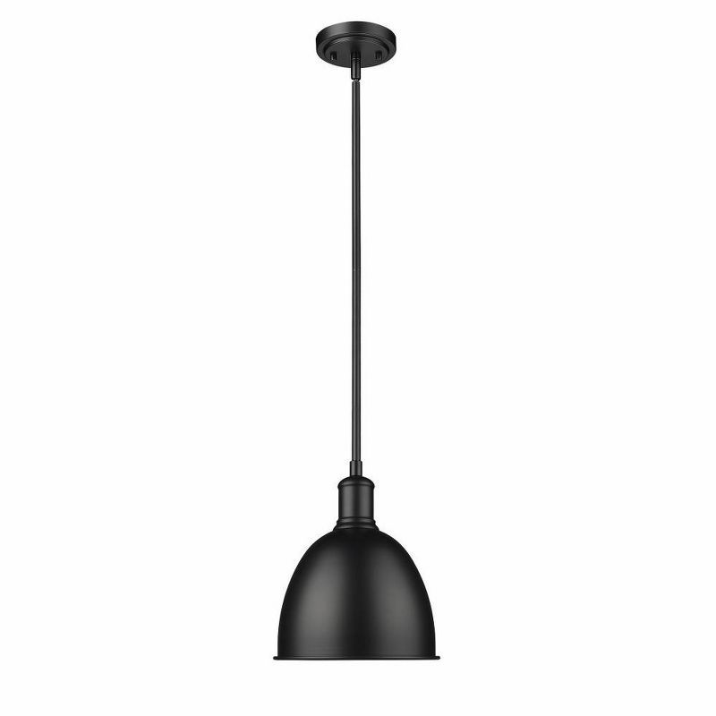 Matte Black Glass Indoor/Outdoor Pendant Light