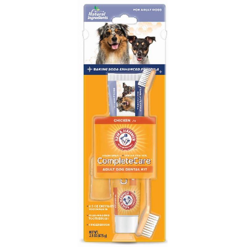 Complete Care Chicken Flavor Cat Dental Kit with Toothbrush