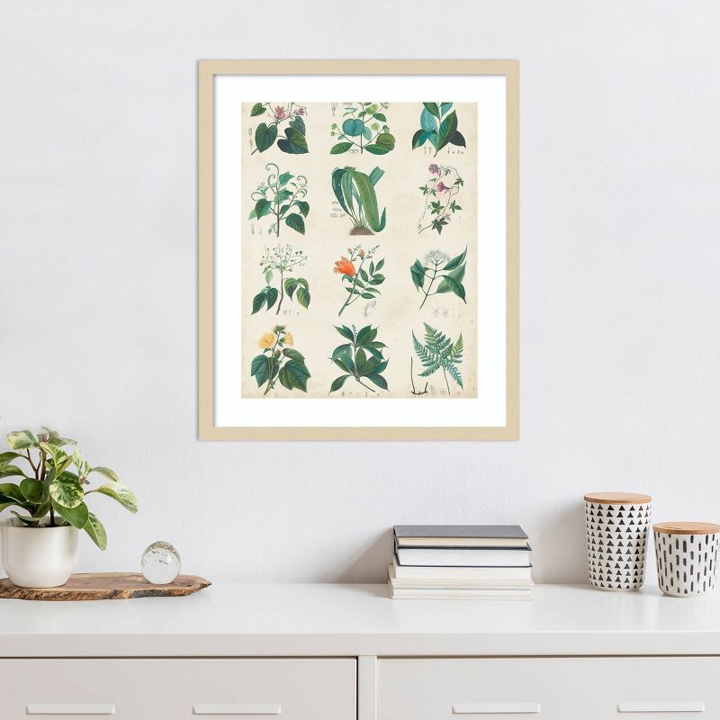 Botanical Schema II Natural Wood Framed Wall Art Print