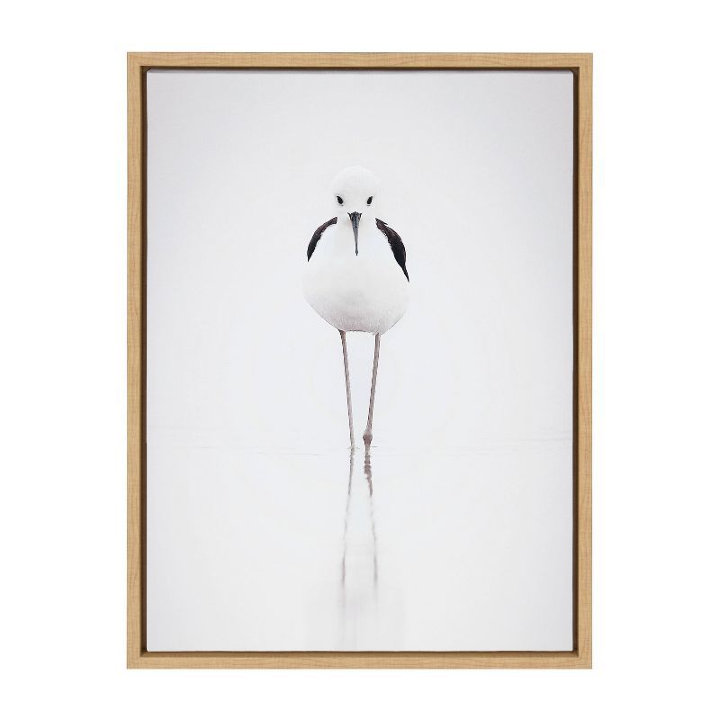 Natural Framed Seagull Canvas Print, 26.69" x 21.63"