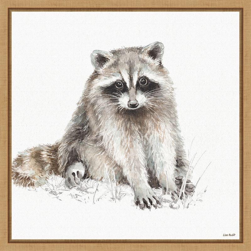 Lisa Audit Framed Raccoon Canvas Wall Art Print 16" x 16"