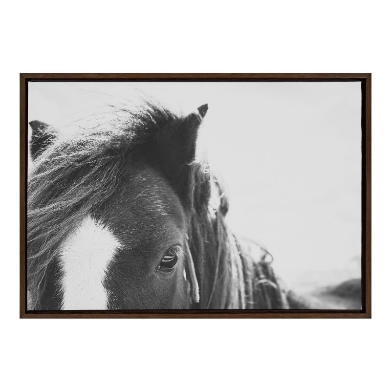 Noble Black and White Horse Framed Canvas Print, 23x33