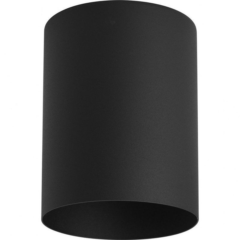 Black Aluminum Cylinder Indoor/Outdoor Flush Mount Light