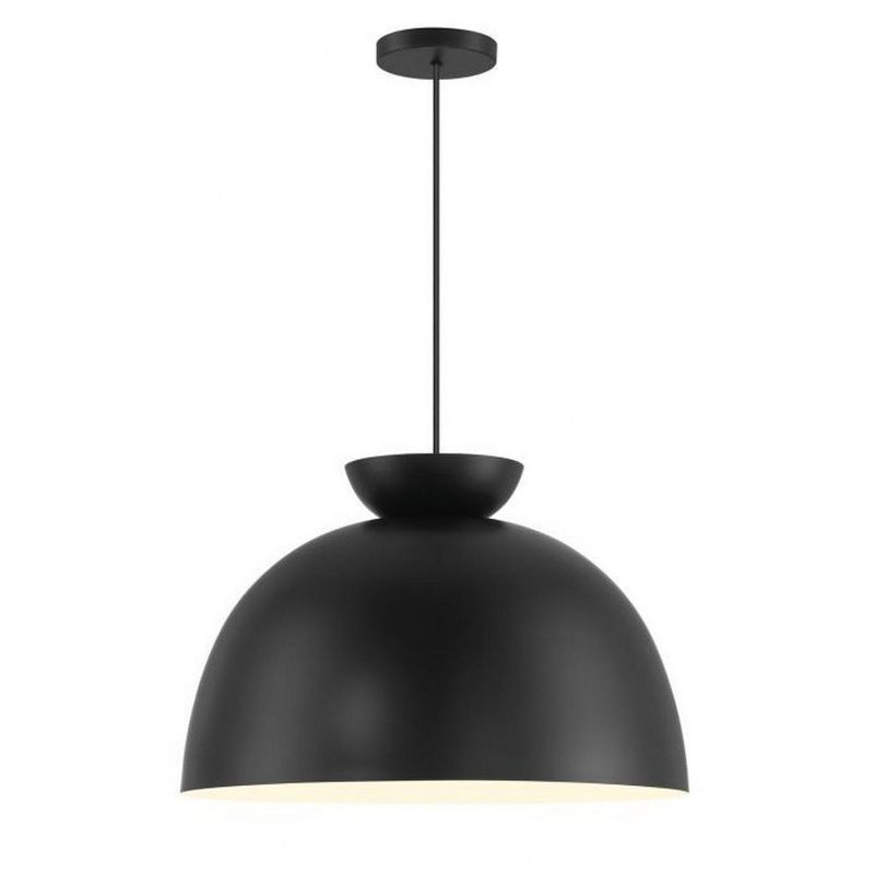 Flat Black Glass Dome Indoor/Outdoor Pendant Light