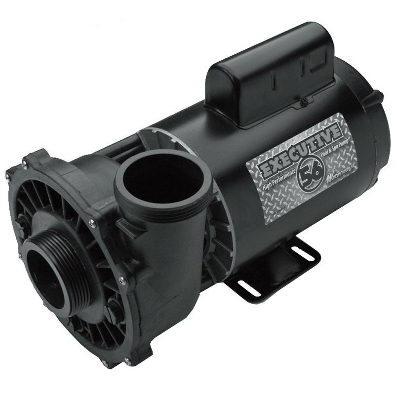 Executive 56 Frame Black 5 HP Dual-Speed Spa Pump