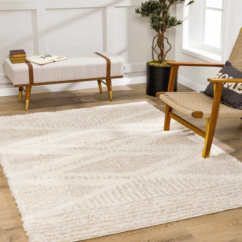 Hauteloom 5'3" x 7'3" Light Beige Shag Area Rug