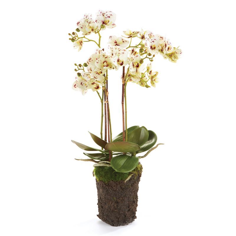 Realistic White and Purple Phalaenopsis Orchid Drop-in 20-Inch