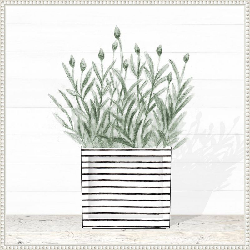 Lavender Blossom in Striped Pot Canvas Wall Art with White Frame