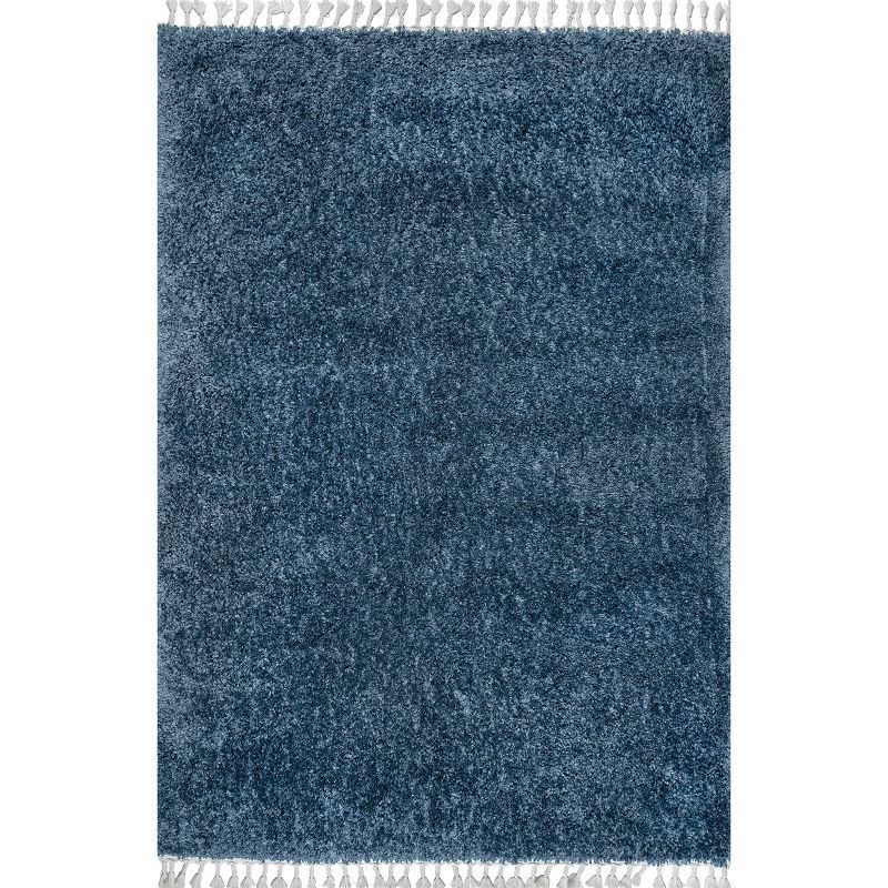 Blue Braided Reversible Shag Area Rug with Tassels