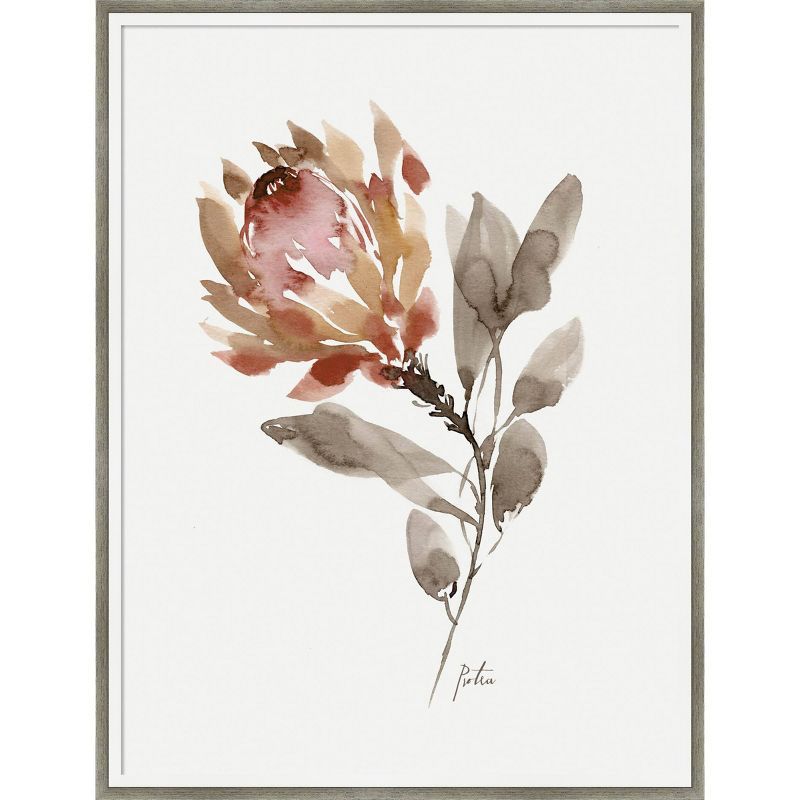 19" x 25" Wild King Protea Botanical Print with Wood Frame