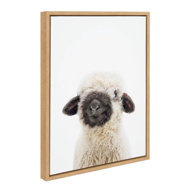 Natural Framed Canvas Print of Black Nosed Sheep, 27" x 22"