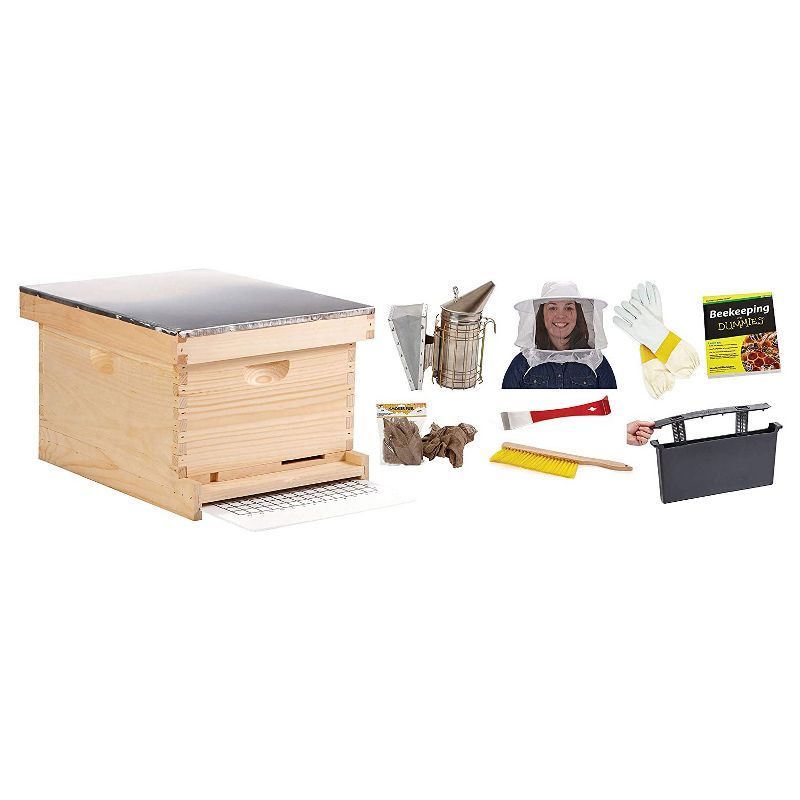 Little Giant 10-Frame Wooden Beekeeping Hive Starter Kit