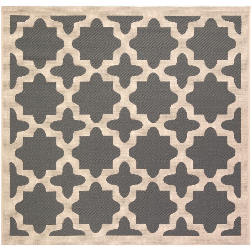 Anthracite & Beige 5'3" Square Synthetic Indoor/Outdoor Rug