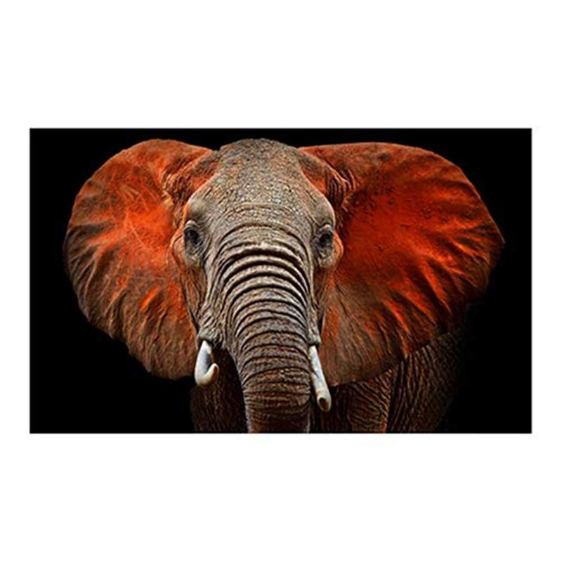 Large Elephant Close-Up Tempered Glass Wall Art