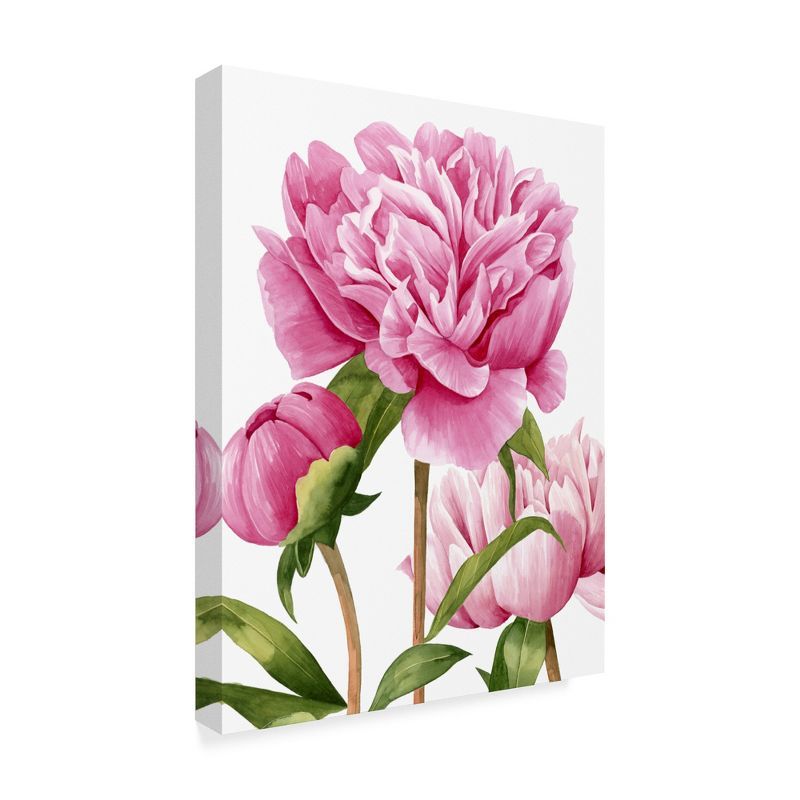 Grace Popp Winsome Peonies II Canvas Art, 24x32