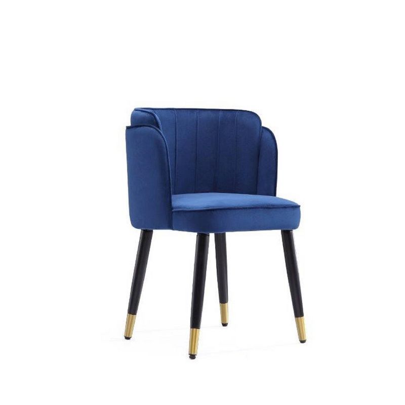 Royal Blue Velvet Upholstered Dining Chair with Gold Trim