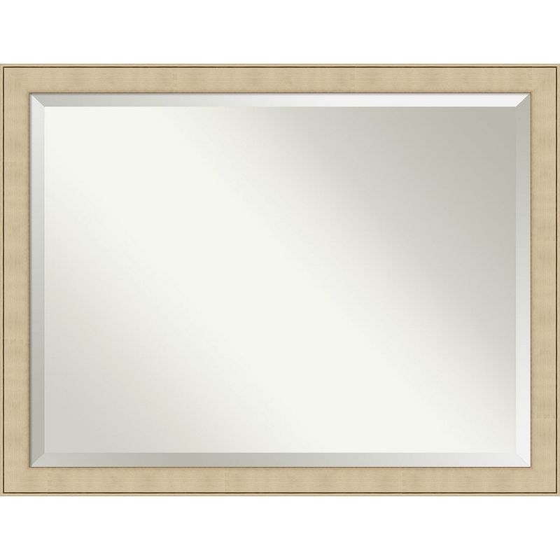 Classic Honey Silver Rectangular Full-Length Wall Mirror 34" x 44"