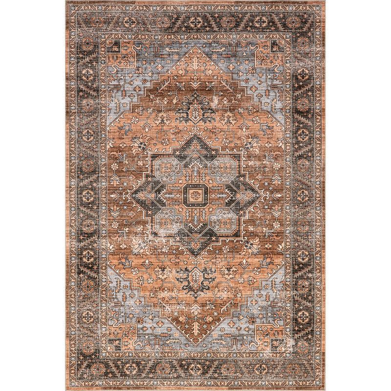 Wrenley Red and Brown Medallion Synthetic 4' x 6' Area Rug