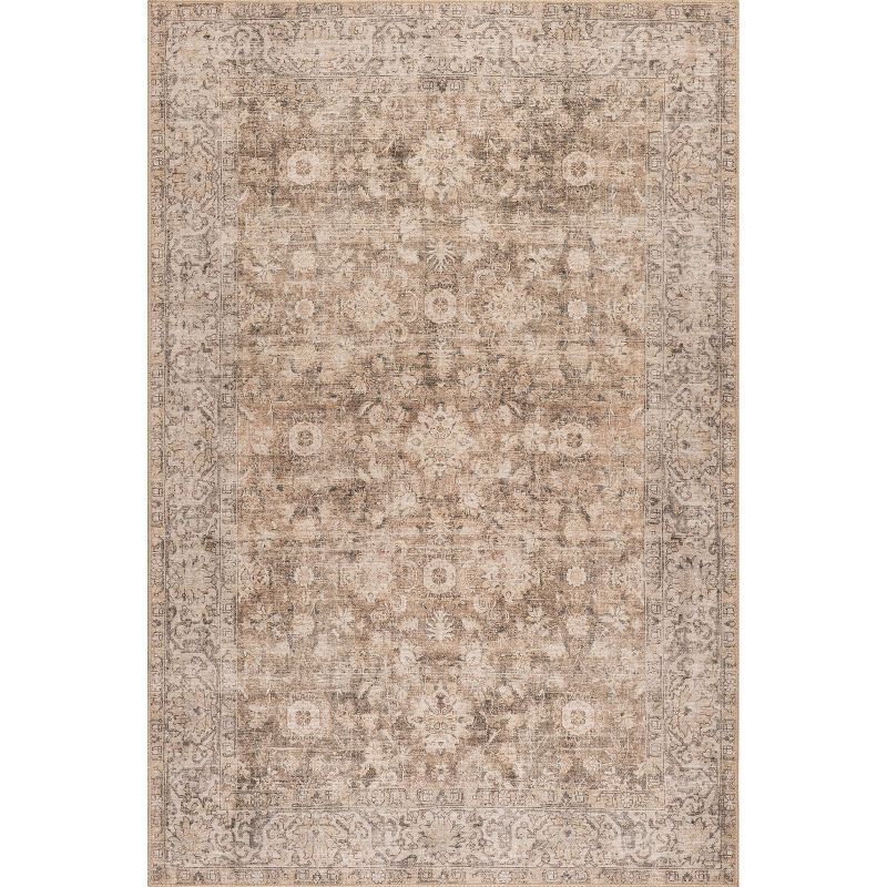 Hillstone Brown Rectangular Vintage Medallion Area Rug