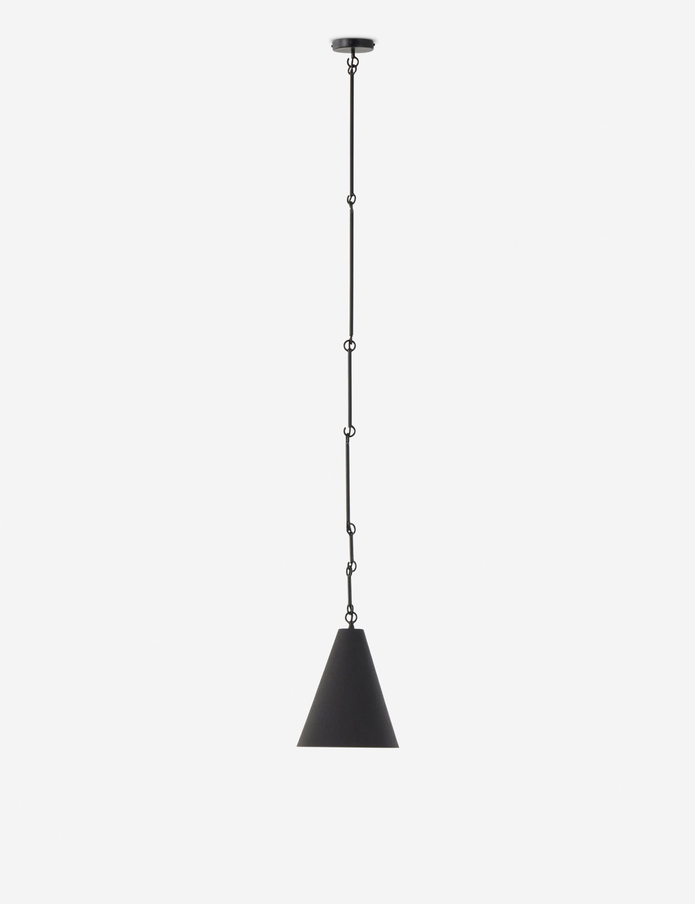 Matte Black 12" Pendant Light with Antiqued Iron Finish