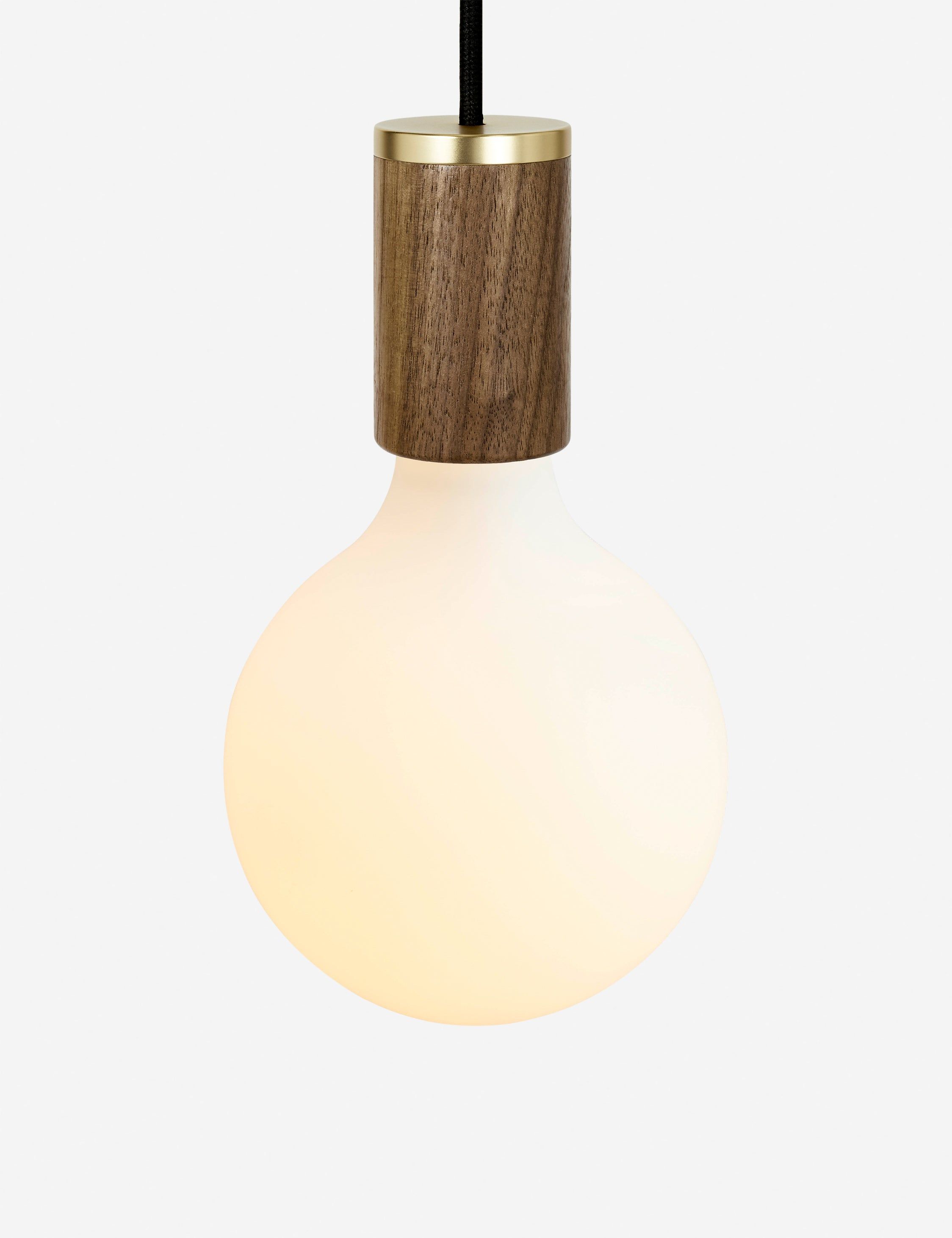 Mini Walnut and Glass LED Pendant Light for Indoor/Outdoor Use